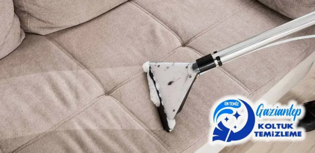 Kanepe temizleme